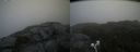 ./images/calvert/buxton2/20210701/buxton220210701_091003M.jpg