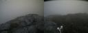 ./images/calvert/buxton2/20210701/buxton220210701_100502M.jpg