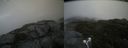 ./images/calvert/buxton2/20210701/buxton220210701_114003M.jpg