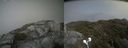 ./images/calvert/buxton2/20210707/buxton220210707_150502M.jpg