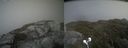 ./images/calvert/buxton2/20210707/buxton220210707_151002M.jpg