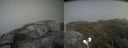 ./images/calvert/buxton2/20210707/buxton220210707_154502M.jpg