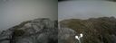 ./images/calvert/buxton2/20210707/buxton220210707_155002M.jpg