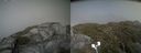 ./images/calvert/buxton2/20210707/buxton220210707_155502M.jpg
