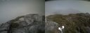 ./images/calvert/buxton2/20210707/buxton220210707_161002M.jpg