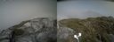 ./images/calvert/buxton2/20210707/buxton220210707_162003M.jpg