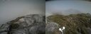 ./images/calvert/buxton2/20210707/buxton220210707_162503M.jpg