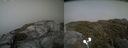 ./images/calvert/buxton2/20210707/buxton220210707_164503M.jpg