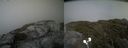 ./images/calvert/buxton2/20210707/buxton220210707_165003M.jpg