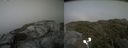 ./images/calvert/buxton2/20210707/buxton220210707_171002M.jpg