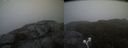 ./images/calvert/buxton2/20210707/buxton220210707_215503M.jpg