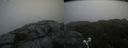 ./images/calvert/buxton2/20210708/buxton220210708_111002M.jpg