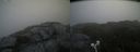 ./images/calvert/buxton2/20210708/buxton220210708_111502M.jpg