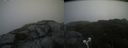 ./images/calvert/buxton2/20210708/buxton220210708_113502M.jpg