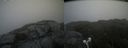 ./images/calvert/buxton2/20210708/buxton220210708_115002M.jpg