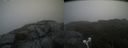 ./images/calvert/buxton2/20210708/buxton220210708_115502M.jpg