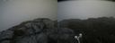 ./images/calvert/buxton2/20210708/buxton220210708_120503M.jpg