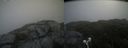 ./images/calvert/buxton2/20210708/buxton220210708_121502M.jpg