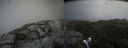 ./images/calvert/buxton2/20210708/buxton220210708_131003M.jpg