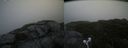 ./images/calvert/buxton2/20210710/buxton220210710_081003M.jpg