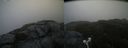 ./images/calvert/buxton2/20210710/buxton220210710_081503M.jpg