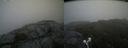 ./images/calvert/buxton2/20210710/buxton220210710_114502M.jpg