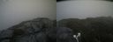 ./images/calvert/buxton2/20210710/buxton220210710_130503M.jpg