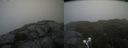 ./images/calvert/buxton2/20210710/buxton220210710_131002M.jpg