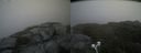 ./images/calvert/buxton2/20210710/buxton220210710_133503M.jpg