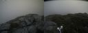 ./images/calvert/buxton2/20210710/buxton220210710_134503M.jpg