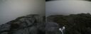 ./images/calvert/buxton2/20210710/buxton220210710_135503M.jpg