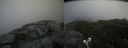 ./images/calvert/buxton2/20210710/buxton220210710_140503M.jpg