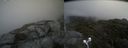 ./images/calvert/buxton2/20210710/buxton220210710_141502M.jpg