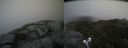 ./images/calvert/buxton2/20210710/buxton220210710_142002M.jpg