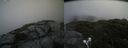 ./images/calvert/buxton2/20210710/buxton220210710_142502M.jpg