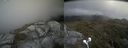 ./images/calvert/buxton2/20210710/buxton220210710_143502M.jpg