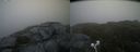 ./images/calvert/buxton2/20210711/buxton220210711_061503M.jpg