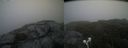 ./images/calvert/buxton2/20210711/buxton220210711_062503M.jpg