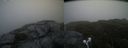 ./images/calvert/buxton2/20210711/buxton220210711_063503M.jpg