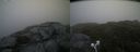 ./images/calvert/buxton2/20210711/buxton220210711_071002M.jpg