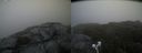 ./images/calvert/buxton2/20210711/buxton220210711_071502M.jpg
