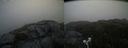 ./images/calvert/buxton2/20210711/buxton220210711_073502M.jpg
