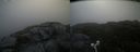 ./images/calvert/buxton2/20210711/buxton220210711_074002M.jpg