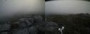 ./images/calvert/buxton2/20210711/buxton220210711_084003M.jpg