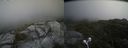 ./images/calvert/buxton2/20210711/buxton220210711_134003M.jpg