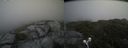 ./images/calvert/buxton2/20210711/buxton220210711_135003M.jpg