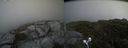 ./images/calvert/buxton2/20210711/buxton220210711_141003M.jpg