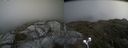./images/calvert/buxton2/20210711/buxton220210711_141503M.jpg