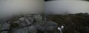 ./images/calvert/buxton2/20210711/buxton220210711_142003M.jpg