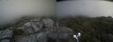 ./images/calvert/buxton2/20210711/buxton220210711_143503M.jpg